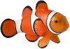 Фигурка на риба клоун Mojo - От серията Sealife - 