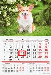 Стенен календар - Куче 2022 - 