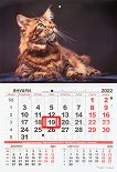 Стенен календар - Котка 2022 - книга