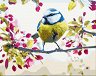 Рисуване по номера Gradientti - Пролетно синигерче - 50 x 40 cm - 