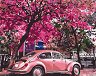 Рисуване по номера Gradientti - Розовият паркинг - 50 x 40 cm - 