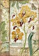 Декупажна хартия Stamperia - Орхидея