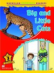 Macmillan Children's Readers: Big and Little Cats. Grandad's Weekend with Leo - level 3 BrE - 