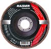 Ламелен диск Raider