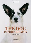 The Dog in Photography 1839 - Today - Raymond Merritt - 