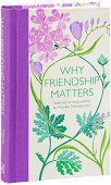 Why Friendship Matters - 