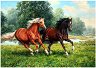Картина за декориране с камъчета - Галопиращи коне