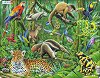 Животните в тропическата гора - Пъзел в картонена подложка от 70 части в нестандартна форма - 