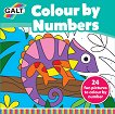 Galt: Оцветяване по номера Colour by Numbers - детска книга