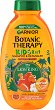 Garnier Botanic Therapy Kids 2 in 1 Shampoo & Detangler Lion King -  