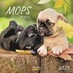 Стенен календар - Mops 2023 - календар
