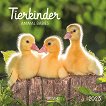 Стенен календар - Tierkinder. Animal babies 2023 - календар