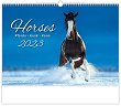 Стенен календар - Horses 2023 - календар