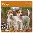 Стенен календар - Dogs 2023 - 