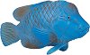 Фигура на хищна риба син групер Mojo - 