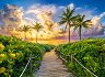 Цветен изгрев в Маями, САЩ - 