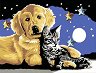 Рисуване по номера - Котка и куче
