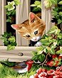 Рисуване по номера - Котенце в градина - 20 x 30 cm - 