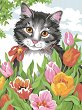 Рисуване по номера - Коте в цветя - 20 x 30 cm - 