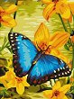 Рисуване по номера - Синя пеперуда