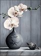 Рисуване по номера - Орхидея