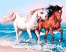 Рисуване по номера - Волни коне