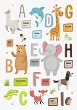   Heyda Alphabet and Animals