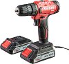   20V Raider RDP-SPCD20 -  2 ,      Pro - 