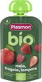        Plasmon - 