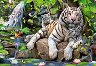 Бенгалски тигри - Пъзел от 1000 части - 
