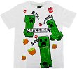   Minecraft Creeper TNT SSs - 