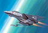Военен самолет - F-14D Super Tomcat - 