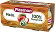    Plasmon - 