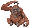 Маймуна - Орангутан - 