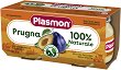    Plasmon - 