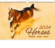   - Horses 2024 - 