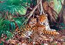 Ягуари в джунглата - 