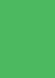 Хартия за рисуване Canson 29 Bright green - От серията Colorline - 