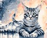 Рисуване по номера NEWART - Котка - 50 x 40 cm - 