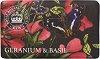 English Soap Company Geranium & Basil Soap - 