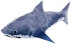 Хартиен свят: Акула - Модел за сглобяване - 