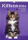   - Kittens 2024 - 