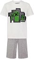   Minecraft Creepers - 