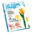 Създай сам хартиени цветя Josephin - Ранен минзухар - Творчески комплект от серията Цветя от хартия - играчка