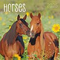   - Horses 2025 - 