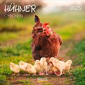   - Chicken 2025 - 