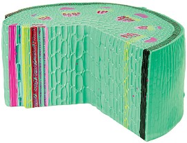 3D модел на стъбло на двусемеделно растение -