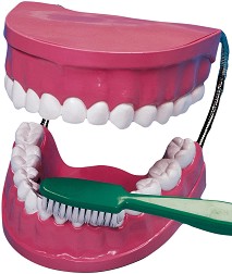 ���������� ����� �� ������� ���� Betzold - � ����� �� ���� - 