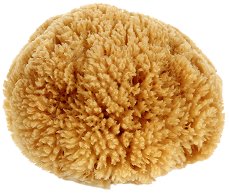 Карибска коралова гъба за баня Magnum - шампоан