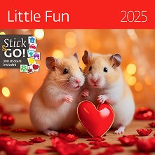   - Little Fun 2025 - 